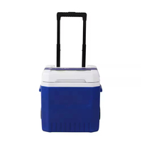 Glacière isotherme sur roulettes personnalisée de 18 L avec poignée, pour le transport de vaccins, le camping, les pique-niques et le stockage alimentaire