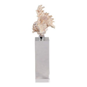 Scultura decorativa a forma di conchiglia su base di cristallo per decorazioni per la casa, figurina perfetta come complemento per bagno, ufficio o soggiorno - Product Image 4