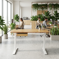 Ensemble complet de bureau en bambou, bureau debout écologique en bambou, pieds réglables électriques, bambou Factory Ecomax