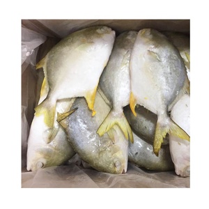 Fruits De Mer congelés Entiers Pompano Doré Poisson - Product Image 1