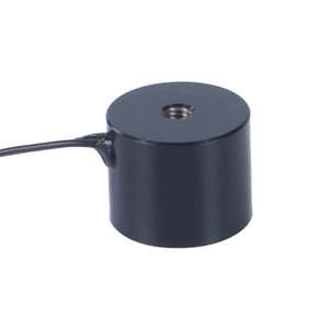 Kuvvet 70N Mini yuvarlak elektro mıknatıs <span class=keywords><strong>12v</strong></span> 24v DC tutma <span class=keywords><strong>Electromagnet</strong></span> <span class=keywords><strong>Electromagnet</strong></span> - Product Image 2
