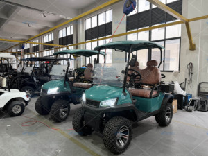 Voiturette de golf à essence de haute qualité, fabricant de voiturettes de golf à essence, voiturettes de golf utilitaires personnalisées pour clubs de chasse - Product Image 3