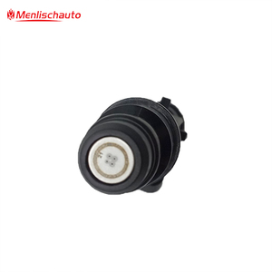 หัวฉีดน้ำมันเชื้อเพลิงหัวฉีด4.2L L6 25317671 4G1661สำหรับรุ่นเก่า - Product Image 3