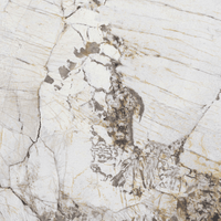 Dalles en pierre frittée FloralPandora 1600x3200 12mm, finition émaillée, pour aménagement paysager et revêtement de sol/mur de salon, résistantes à l'usure