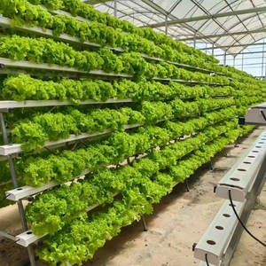 ระบบปั๊มน้ำหยดแบบ A-shape รุ่นใหม่ สำหรับการเกษตรในโรงเรือน ระบบปลูกพืชแนวตั้ง และอุปกรณ์ไฮโดรโปนิกส์ - Product Image 5