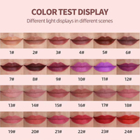Rouge à lèvres velours waterproof et anti-transfert en gros pour usine cosmétique, commande OEM personnalisée