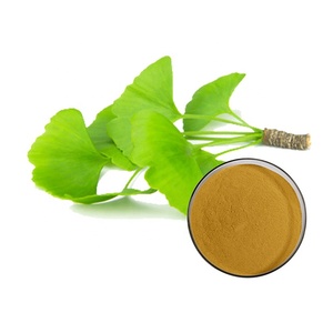 Chiết Xuất Từ <span class=keywords><strong>Ginkgo</strong></span> <span class=keywords><strong>Biloba</strong></span> Flavone Glycosides 24% Terpene Lactone 6% - Product Image 3