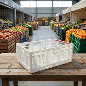 Caisses pliables économiques et paniers repliables pour l'emballage quotidien des récoltes agricoles et l'expédition en marché - Product Image 5