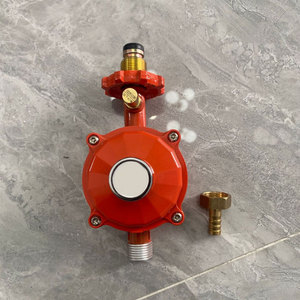 Газовый регулятор с регулируемым давлением - Product Image 5