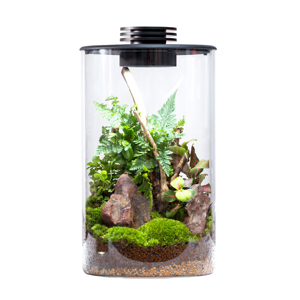 Terrarium en verre <span class=keywords><strong>de</strong></span> bureau avec lumière <span class=keywords><strong>de</strong></span> croissance pour plantes succulentes, <span class=keywords><strong>mousse</strong></span>, paysage miniature, <span class=keywords><strong>aquarium</strong></span> pour poissons Betta - Product Image 1