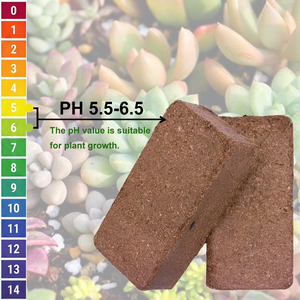 Sustrato de Fibra de Coco Libre de Patógenos, Anti-Compactación, Expande a 15 Galones Cada Bloque de Coco Comprimido para Ranas de Árbol y <span class=keywords><strong>Pac</strong></span>-<span class=keywords><strong>Man</strong></span> - Product Image 3