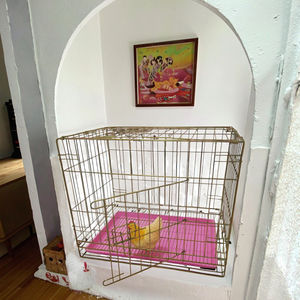 Vente en gros de cage pliable en fer galvanisé blanc caisse métallique stable et durable avec plateau en plastique amovible - Product Image 2