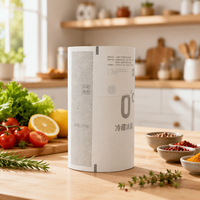 Ventes en gros de blocs de glace en gel réutilisables de haute qualité, personnalisés, 250 ml