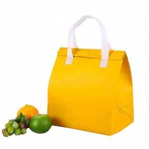 Bolsa Térmica Personalizada para Bebidas, Bolsa de Transporte Aislada para Alimentos, Bolsa Refrigerante de Tela No Tejida para Entrega de Comida - Product Image 1