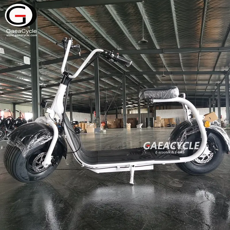 지방 타이어 전기 사이클 스쿠터 50km 장거리 2 바퀴 Citycoco 이동식 리튬 배터리 오토바이 스포츠 스쿠터