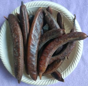 Fornecimento a granel Grau Alimentar Extrato De Soapnut Em Pó <span class=keywords><strong>Gleditsia</strong></span> <span class=keywords><strong>Sinensis</strong></span> <span class=keywords><strong>Lam</strong></span>. Extrato De Semente <span class=keywords><strong>Gleditsia</strong></span> <span class=keywords><strong>Sinensis</strong></span> Extrato Zaojia Em Pó - Product Image 2