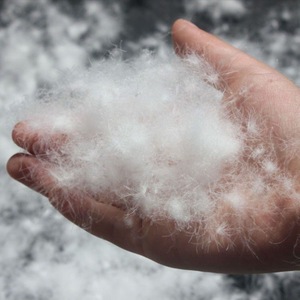Plumas de Pato Blanco Lavadas al 90% de Pureza, Estándar Nacional, para Edredones y Ropa de Cama de Lujo - Product Image 2