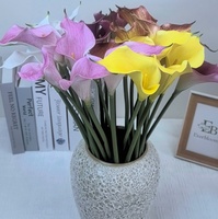 Bunga Calla Lily EVA Real Touch 52cm, Bunga Artifisial Realistis Tangkai Tunggal untuk Dekorasi Buket Pernikahan Mewah 2026 Grosir