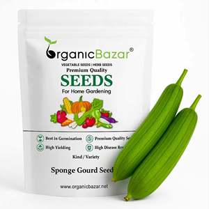 Paquete de <span class=keywords><strong>Semillas</strong></span> de <span class=keywords><strong>Luffa</strong></span> de Fertilización Abierta OEM de Fábrica con Etiqueta Personalizada y Código de Barras para Paquete de <span class=keywords><strong>Semillas</strong></span> de Esponja de Calabaza de Marca de Jardín - Product Image 1