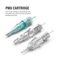 Pistolet de tatouage jetable de cartouche d'aiguille de tatouage de qualité supérieure de marque privée PMU pour le maquillage permanent