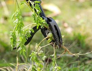 Extracteur d'<span class=keywords><strong>herbe</strong></span> sans flexion Outil de jardinage manuel en acier inoxydable - Product Image 2