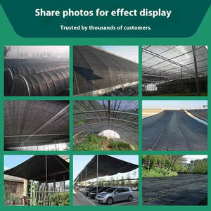 Agriculture Anti UV <strong>PE</strong> Shading <strong>Net</strong> Rectangle Green <strong>Shade</strong> <strong>Net</strong> House Woven HDPE Sunblock Fabric Cloth for Farming - Product Image 4