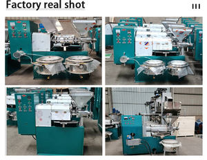 Saro zambie 20 kilos cuisson de l'huile d'olive machine à presser automatique presse à huile de palme <span class=keywords><strong>prix</strong></span> de ligne - Product Image 5