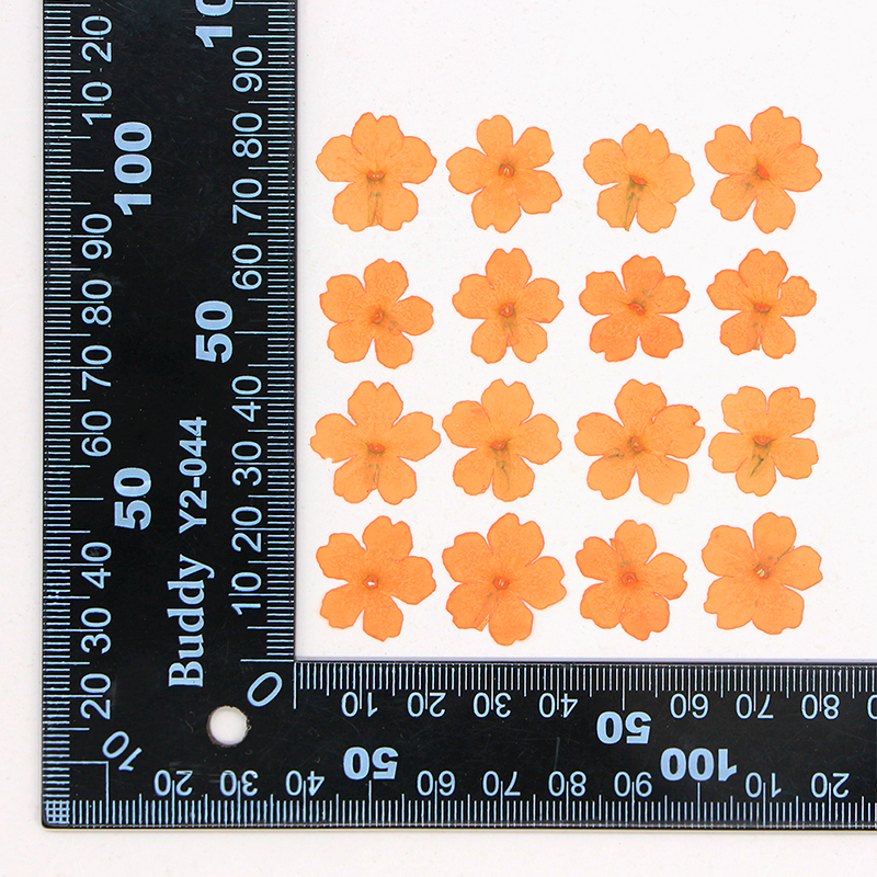 Orange teint 12 pcs/sac