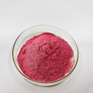 Polvo de extracto de <span class=keywords><strong>fruta</strong></span> de Cactus Natural, <span class=keywords><strong>Opuntia</strong></span> ficus-indica/Cactus - Product Image 4