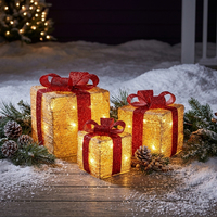 Adorno para Árbol de Navidad con Luces LED, Decoración Navideña para Interiores, Funciona con Pilas, IP44, Blanco Cálido, Caja de Regalo, Decoración para Fiestas