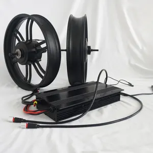 Electric Bicycle Conversion Kit 100W 48V Inch 20" Four Wheel Drive Motors For Fat Tire EBike