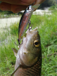 OEM 60mm 6.5g dur appât ABS méné leurre de pêche Kit 10 couleurs noir naufrage leurre attirail pour rivière lac ruisseau pêche <span class=keywords><strong>pas</strong></span> <span class=keywords><strong>cher</strong></span> - Product Image 5