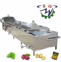 Groene Bonen Wassen Blancheren Waslijn Fruit En Groente Blancheermachine Commerciële Verwerkingsapparatuur