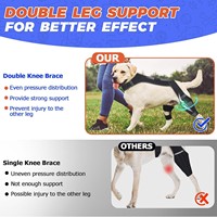 Équipement de protection pour animaux de compagnie, ceinture auxiliaire pour chien pour blessure de la patte avant, déchirure du ligament articulaire de la patte, rééducation du chien