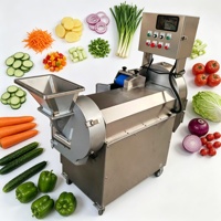 Ervarangetrouwd 	 Commerciële machine voor het snijden van lente-ui, kool, aardappel, komkommer en andere groenten 	 Fruitverwerkingsmachine
