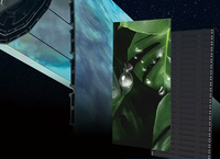 Écran LED à rouleaux pliable mural ultra-fin HD flexible pour exposition en centre commercial intérieur et location avec garantie de 2 ans