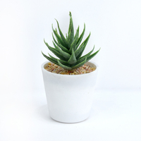 Mini-succulentes artificielles en pot, réalistes, écologiques, en PE, pour la décoration de bureau et d'intérieur