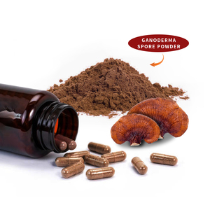 <span class=keywords><strong>Ganoderma</strong></span> lucidum pó de extrato de esporo de reishi <span class=keywords><strong>shell</strong></span>-<span class=keywords><strong>broken</strong></span> parede quebrada cápsulas 100% suplemento saudável puro - Product Image 4