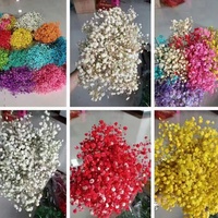 Bouquet de gypsophile de fleurs éternelles, vente en gros, fleurs séchées pour la décoration, cadeau de Noël, de Pâques, de la Saint-Valentin, scène