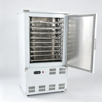 Industriële blastvriezer met enkele deur -70°C ℃   Tray Design Custom Voltage Snelle Vrieskast voor Kleine Zeevruchtenverwerkingsbedrijven