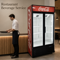 Congélateur vertical commercial à deux portes vitrées pour aliments surgelés