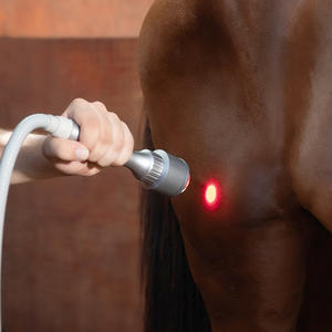 Klasse 4 Slimme Veterinaire Lasermachine Voor Verlichting Van Hondenkatten En Snelle Hersteltoepassingen - Product Image 6