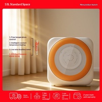 Machine de séchage automatique pour animaux de compagnie, vente chaude, sécheuse professionnelle pour chats, boîte de séchage pour animaux de compagnie, salle de séchage pour chiens