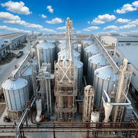 Máquina para Cocer Arroz con Intercambiador de Calor y Software de Sistema Experto para Molinos de Arroz para Optimización del Proceso, Capacidad de 8-220 T/D