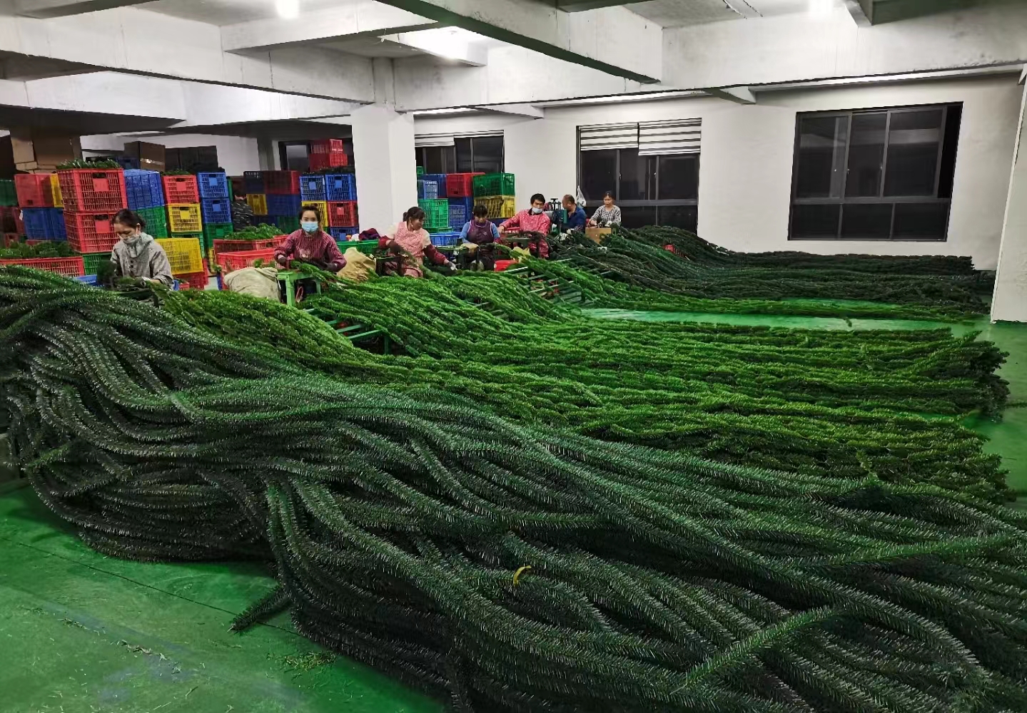浙江省.一个工厂是圣诞树工厂.