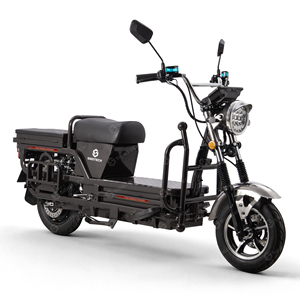 Scooter de livraison SIGOTECH OEM Inde, batterie 72V, autonomie 80 km, capacité de charge 300 kg, scooter utilitaire - Product Image 2