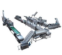 Machine de fabrication de sauce tomate clé en main, machine professionnelle automatique de traitement du ketchup au chili avec ligne de remplissage aseptique
