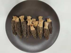 Fornecimento de fábrica de cogumelos pretos crus de morel selvagem, cogumelos secos de morel, cogumelos secos com preço - Product Image 3