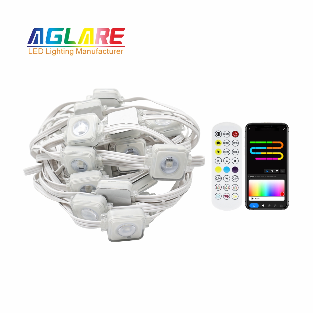 Permanent Outdoor LED Christmas Point Lights 24V 24m RGB - Aglare YJLED-022-24M-S48RGB