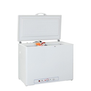 160L Solid Door Top Open Gas Chest <b>Freezer</b> Deep - Product Image 1